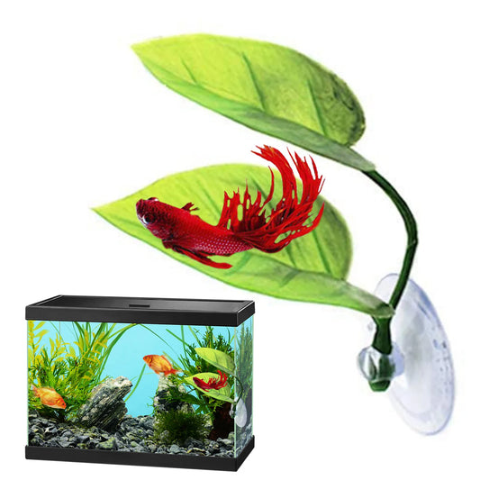 Aquarium Betta bed